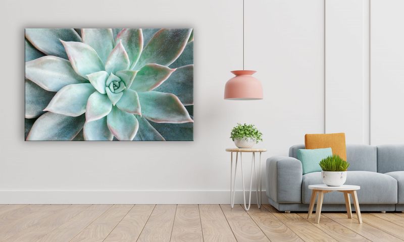 OBRAZ NA PŁÓTNIE 098 Sukulent 90x60cm zdjęcie 5
