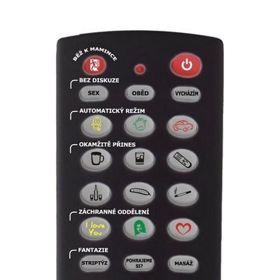 Gadający Pilot - Steruj Kobietą! (CZ) na Arena.pl