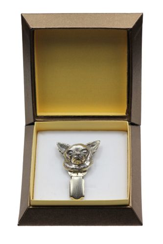 Chihuahua - klips - 2566 na Arena.pl