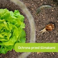Środek na Ślimaki Granulki na Ślimaki Preparat na Ślimaki Nawóz 1kg VACO