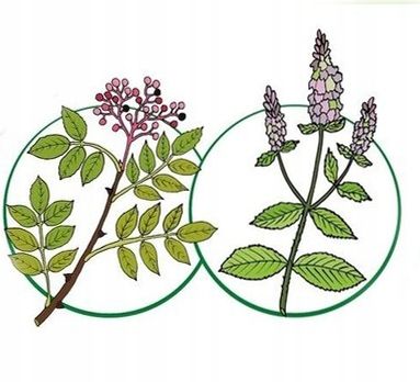 PŁYN PRZECIW KOMAROM DLA DZIECI CHICCO roll on 2m+ na Arena.pl