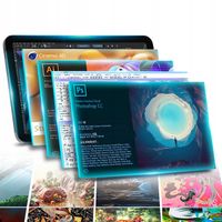 Profesjonalny Tablet graficzny z piórem do komputera BOSTO BT-101C Szary