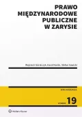 Prawo międzynarodowe publiczne w zarysie w.19