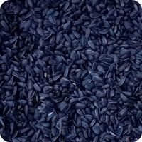 SŁONECZNIK CZARNY ZIARNO DLA PTAKÓW Bez Zanieczyszczeń Przesiewany