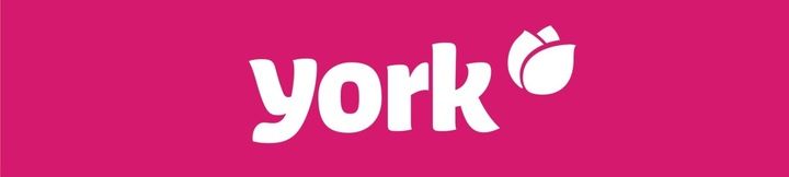 YORK zestaw ZMIOTKA szczotka SZUFELKA z gumą reSTART PRZYJAZNA ŚRODOWISKU zdjęcie 15