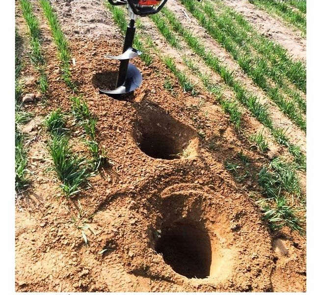 ŚWIDER SPALINOWY WIERTNICA GLEBOWA DO ZIEMI GLEBY ZESTAW + WIERTŁA + OLEJ zdjęcie 12