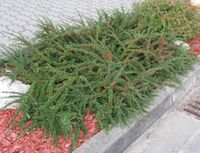 product-compare-57127734