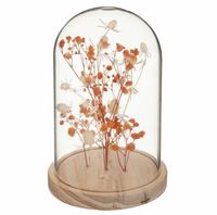 Suszone kwiaty pod kloszem Gypsy