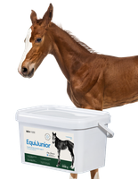 lab-v equijunior mieszanka paszowa uzupełniająca dla źrebiąt 2kg