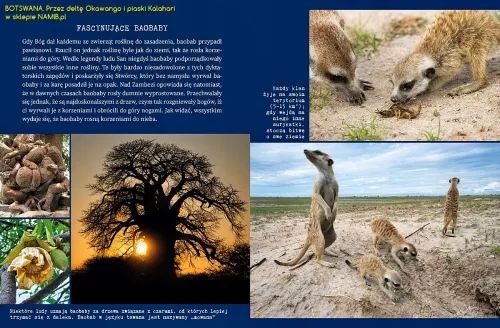 BOTSWANA. Przez deltę Okawango i piaski Kalahari na Arena.pl