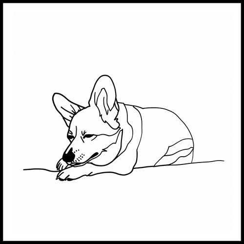 Plakat 70x70cm Śpiący Corgacz na Arena.pl