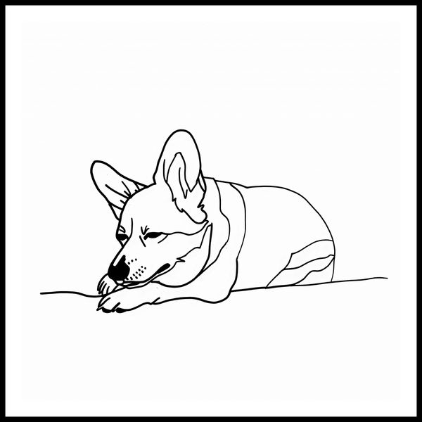 Plakat 70x70cm Śpiący Corgacz zdjęcie 3