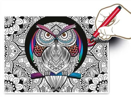Clementoni 500 elementów 3D Color Therapy Sowa na Arena.pl