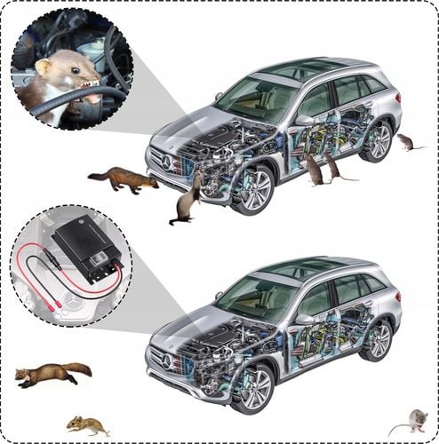 SAMOCHODOWY ODSTRASZACZ GRYZONI KUN SZCZURÓW MYSZY SKUTECZNY I na Arena.pl