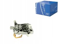SKF VKPC 81217 Pompa wody, chłodzenie silnika
