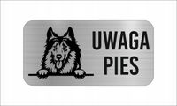 GRAWER Tabliczka nierdzewna 20x10 cm UWAGA PIES Collie