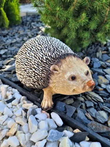 FIGURKA OGRODOWA - JEŻ / JEŻYK na Arena.pl