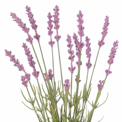 ARTFLOWER/AH/LAVI/18/1PC na Arena.pl