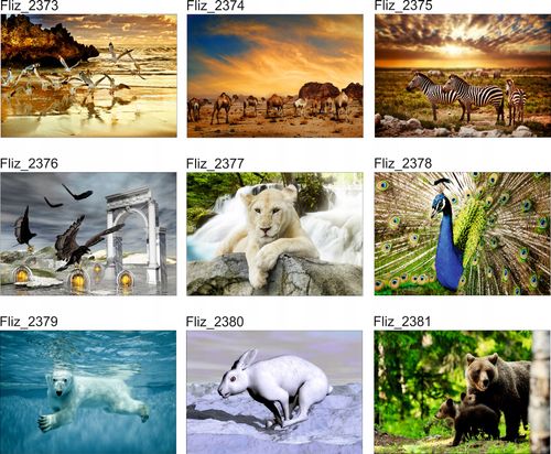 FOTOTAPETA ZWIERZĘTA KONIE UNICORN WIDOK NATURA na Arena.pl