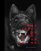 Kartoteka rozrzucona. Fotograficzna podróż z Różewiczem