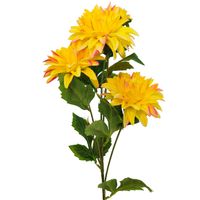 product-compare-61190507