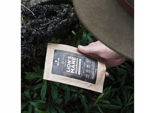 LION`S MANE 50G na Arena.pl