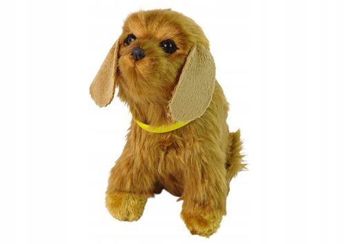 Interaktywny Pies Cocker Spaniel Szczeka na Arena.pl