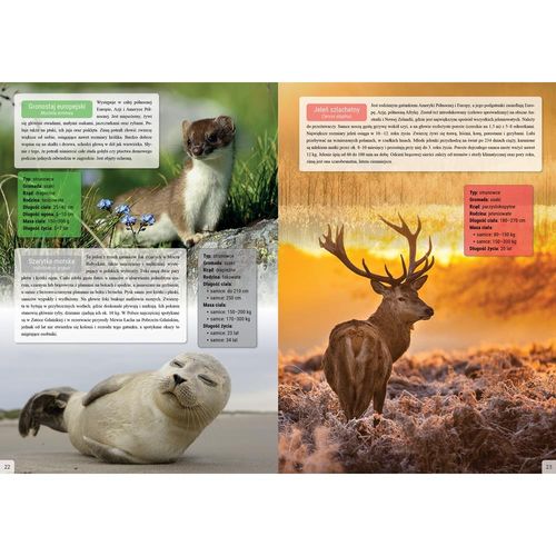 Zwierzęta Polski Twarda Oprawa 32 Strony na Arena.pl