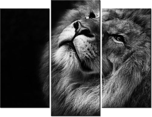 60 90CM OBRAZ 3 ELEM SREBRNY LEW ŚCIENNY DRUK PŁÓTNO na Arena.pl