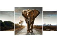 80X40CM SŁOŃ TRÓJ OBRAZ