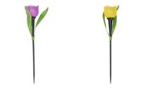 product-compare-61200724