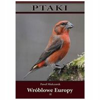 PTAKI. WRÓBLOWE EUROPY CZ. II TW PAWEŁ MIELCZAREK