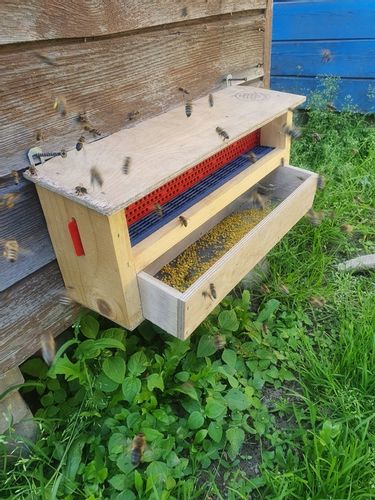 Pyłek Pszczeli z Pasieki na Arena.pl