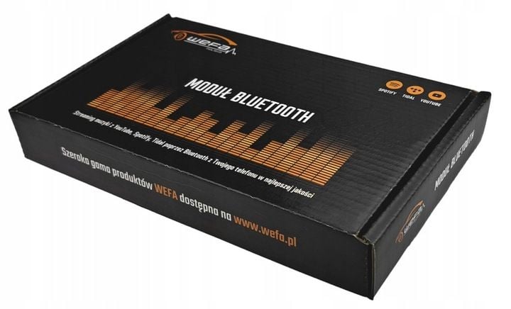 Zmieniarka Bluetooth Audi Concert Chorus Symphony zdjęcie 7