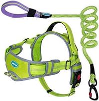 Szelki dla Psa ze Smyczą Odblaskowe Regulacja XXL