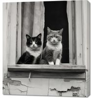 Obraz 90x100cm Para w Oknie