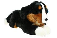 Pies bernenski 61cm 48990