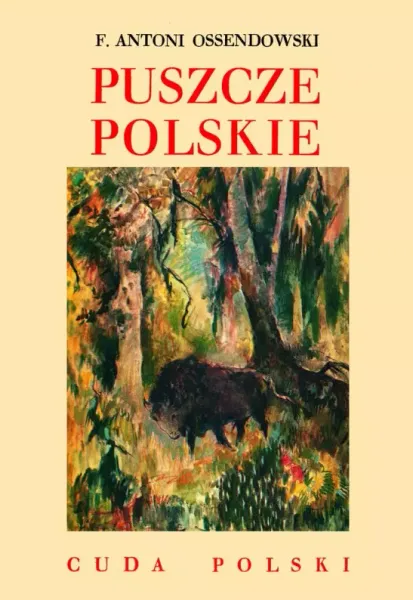 Puszcze polskie zdjęcie 1