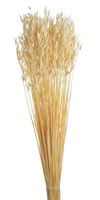 owies w pęczku wybielany około 65cm 70g wol-01