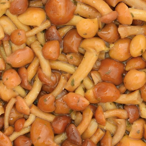 ALFICHEF Grzyby Nameko w oleju 1 kg zdjęcie 3
