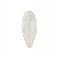 Akinu Kość sepia WOLNO (1kg) 20 - 25 cm