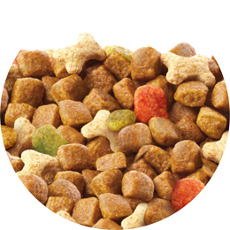 purina friskies junior 8kg na Arena.pl