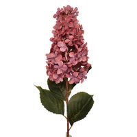 Hortensja duża gałązka malinowo fioletowa