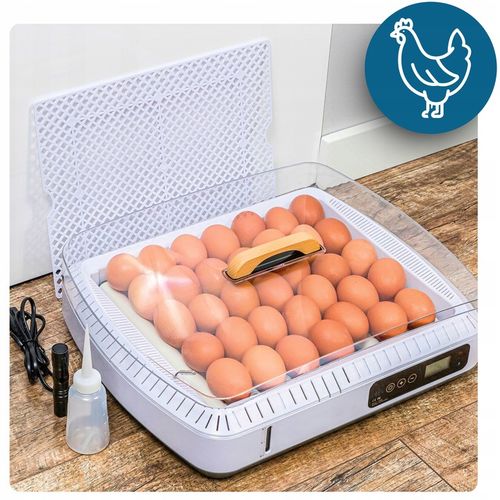 Inkubator Automatyczny do wylęgu 35 jaj Wylęgarka Klujnik do wylęgu Drobiu na Arena.pl