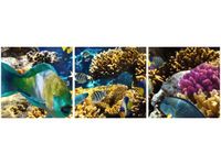 90X30CM RAFA KORALOWA TRÓJ OBRAZ