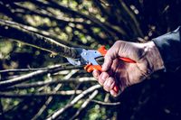 product-compare-58441880