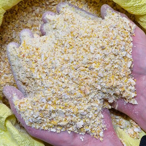 KUKURYDZA GNIECIONA walcowana pasza dla kur niosek, kaczek 20 na Arena.pl