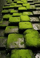 Plakat 42x59,4cm Zielona Mozaika