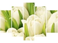 product-compare-58695985