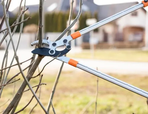 SEKATOR TELESKOPOWY KOWADEŁKOWY DO GAŁĘZI KRZEWÓW PĘDÓW OGRODOWY + RĘKAWICE na Arena.pl
